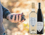 Silver Peak Pinot Noir North Coast California