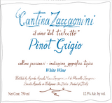 Cantina Zaccagnini Pinot Grigio Abruzzo Italy